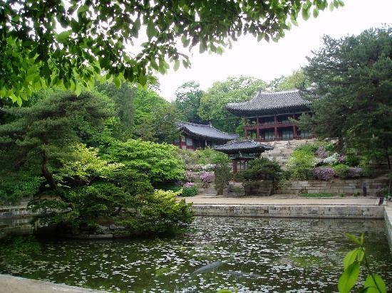 トリップアドバイザー提供