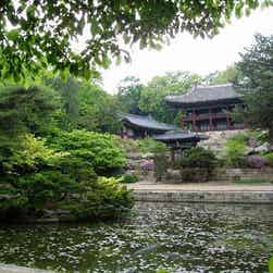 トリップアドバイザー提供