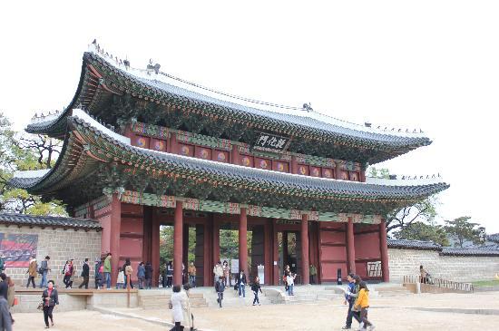 トリップアドバイザー提供