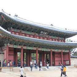 トリップアドバイザー提供