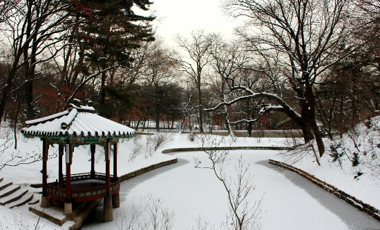 トリップアドバイザー提供