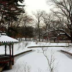 トリップアドバイザー提供