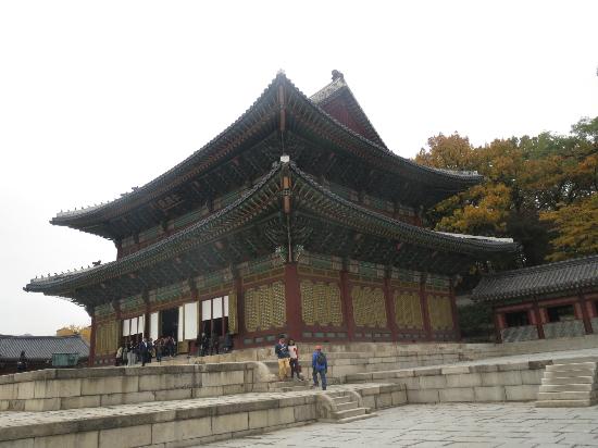 トリップアドバイザー提供