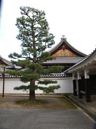 トリップアドバイザー提供