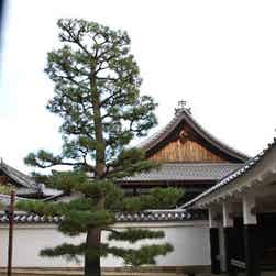 トリップアドバイザー提供