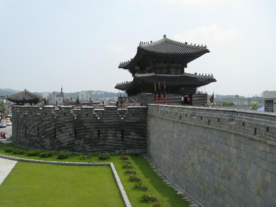 トリップアドバイザー提供