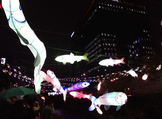 トリップアドバイザー提供