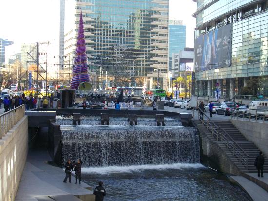 トリップアドバイザー提供