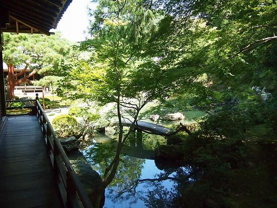 トリップアドバイザー提供