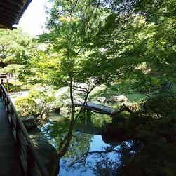 トリップアドバイザー提供