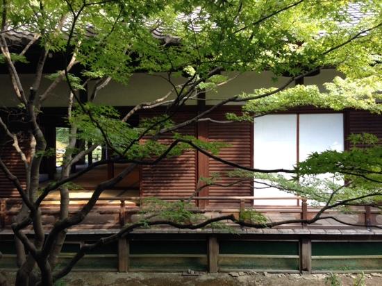 トリップアドバイザー提供