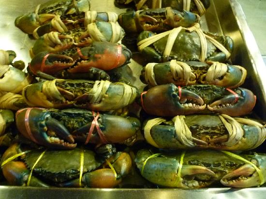 トリップアドバイザー提供