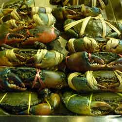 トリップアドバイザー提供