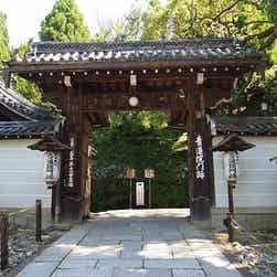 トリップアドバイザー提供