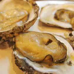 トリップアドバイザー提供