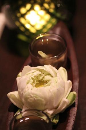 トリップアドバイザー提供