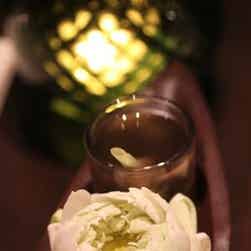 トリップアドバイザー提供