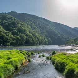 トリップアドバイザー提供