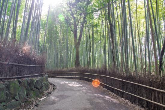 トリップアドバイザー提供