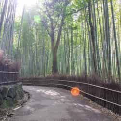 トリップアドバイザー提供