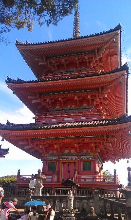 トリップアドバイザー提供