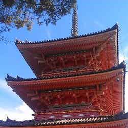 トリップアドバイザー提供