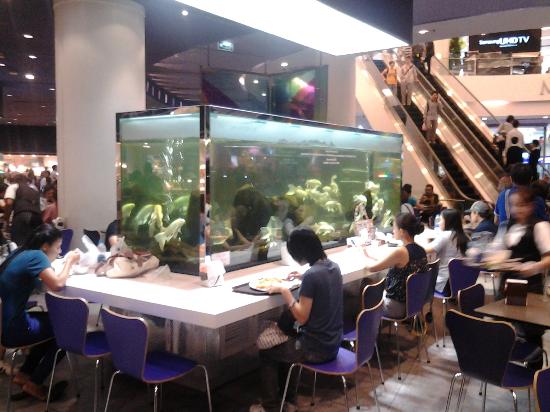 トリップアドバイザー提供