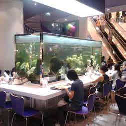 トリップアドバイザー提供