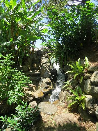 トリップアドバイザー提供