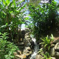 トリップアドバイザー提供