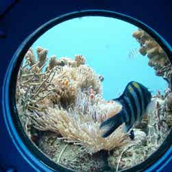 トリップアドバイザー提供