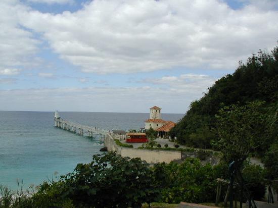 トリップアドバイザー提供