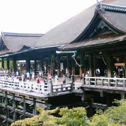 トリップアドバイザー提供