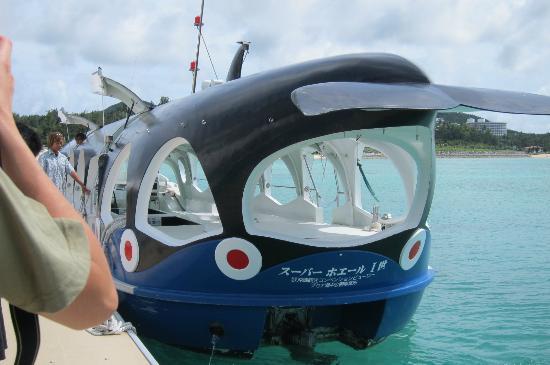 トリップアドバイザー提供