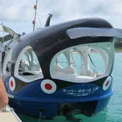 トリップアドバイザー提供