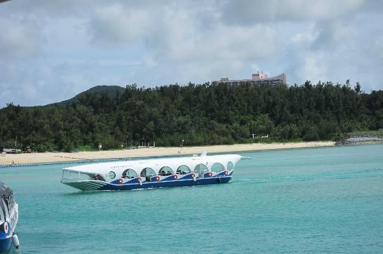 トリップアドバイザー提供