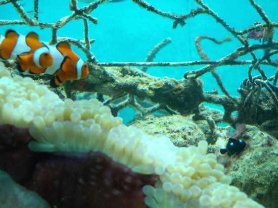 トリップアドバイザー提供