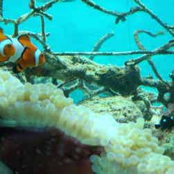 トリップアドバイザー提供