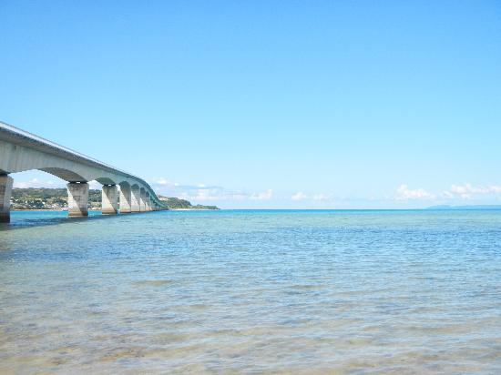 トリップアドバイザー提供