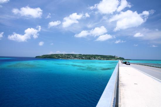 トリップアドバイザー提供