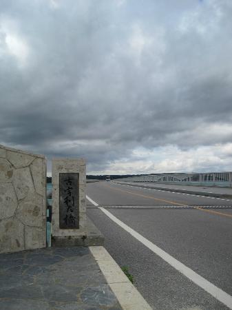 トリップアドバイザー提供