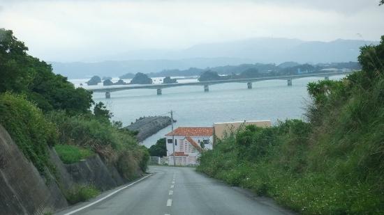 トリップアドバイザー提供