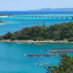 トリップアドバイザー提供