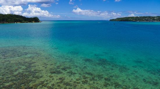 トリップアドバイザー提供