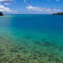 トリップアドバイザー提供