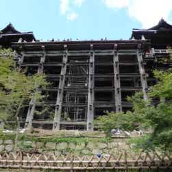 トリップアドバイザー提供