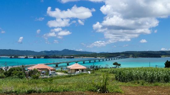 トリップアドバイザー提供