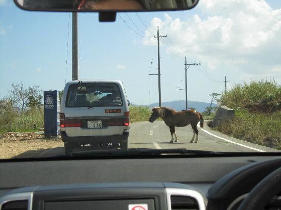 トリップアドバイザー提供