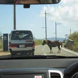トリップアドバイザー提供