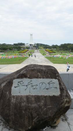 トリップアドバイザー提供